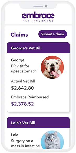 Embrace Pet Insurance mobile app